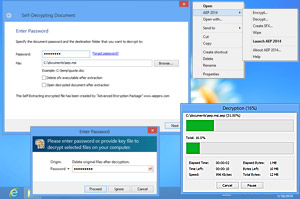 screenshot of aep pro under windows 8